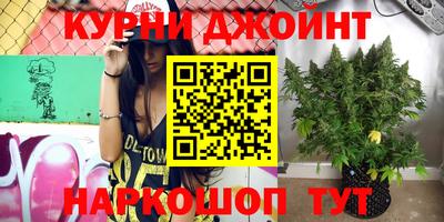 прущие грибы Ливны