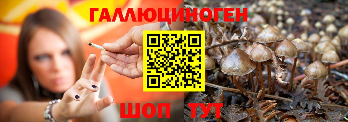Галлюциногенные грибы мицелий  Вход с VPN  закладки  Уварово 